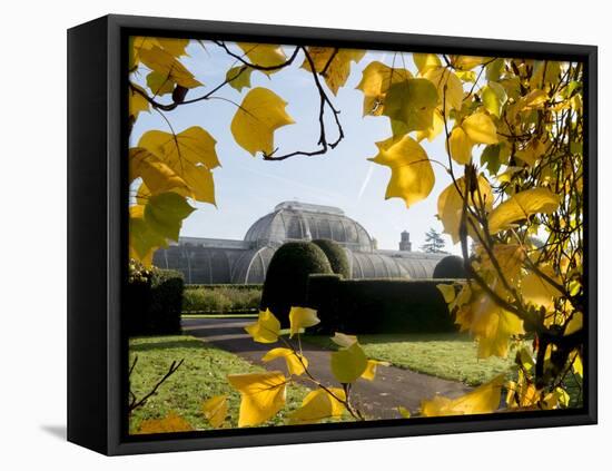 Kew Palm House Autumn 1-Charles Bowman-Framed Premier Image Canvas