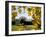 Kew Palm House Autumn 1-Charles Bowman-Framed Photographic Print