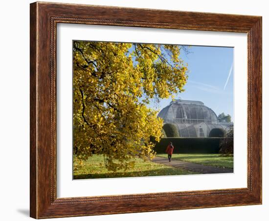 Kew Palm House Autumn-Charles Bowman-Framed Photographic Print