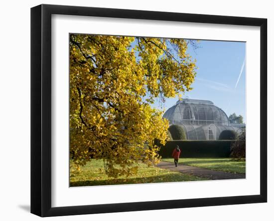 Kew Palm House Autumn-Charles Bowman-Framed Photographic Print