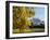 Kew Palm House Autumn-Charles Bowman-Framed Photographic Print