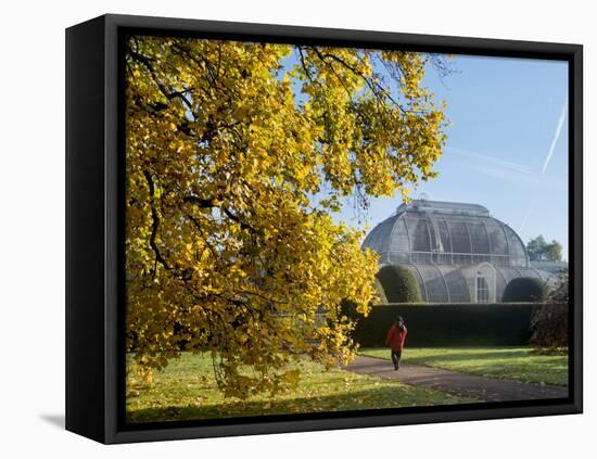 Kew Palm House Autumn-Charles Bowman-Framed Premier Image Canvas