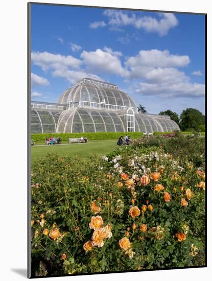 Kew Palm House-Charles Bowman-Mounted Photographic Print