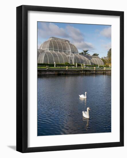 Kew Palm House-Charles Bowman-Framed Photographic Print