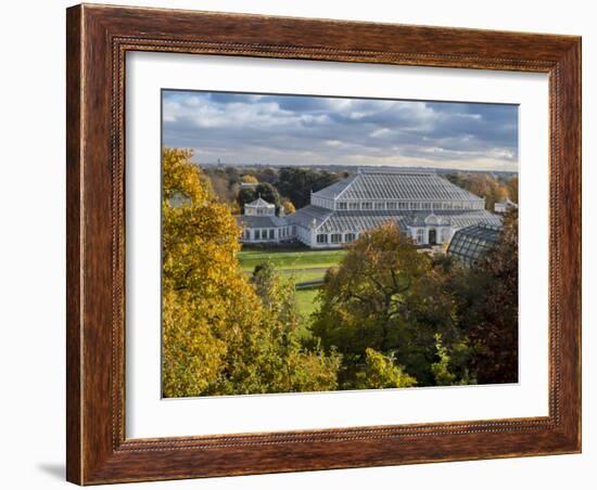 Kew Temperate House 1-Charles Bowman-Framed Photographic Print