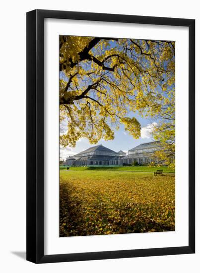 Kew Temperate House-Charles Bowman-Framed Photographic Print