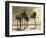 Key Biscayne I-Dennis Kelly-Framed Giclee Print