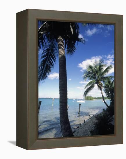 Key Biscayne, Miami, FL-Mark Gibson-Framed Premier Image Canvas