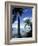 Key Biscayne, Miami, FL-Mark Gibson-Framed Photographic Print