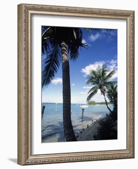 Key Biscayne, Miami, FL-Mark Gibson-Framed Photographic Print