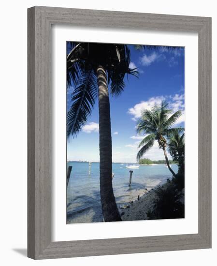 Key Biscayne, Miami, FL-Mark Gibson-Framed Photographic Print