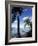 Key Biscayne, Miami, FL-Mark Gibson-Framed Photographic Print