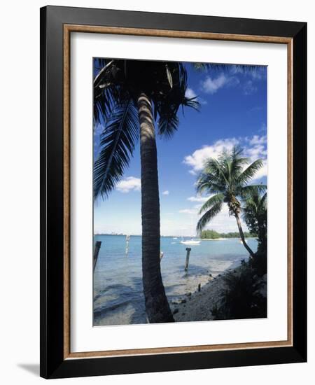 Key Biscayne, Miami, FL-Mark Gibson-Framed Photographic Print