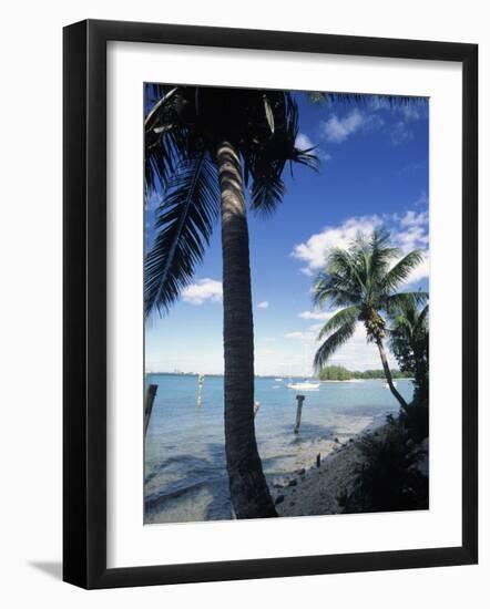 Key Biscayne, Miami, FL-Mark Gibson-Framed Photographic Print