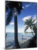 Key Biscayne, Miami, FL-Mark Gibson-Mounted Photographic Print