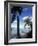 Key Biscayne, Miami, FL-Mark Gibson-Framed Photographic Print