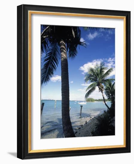 Key Biscayne, Miami, FL-Mark Gibson-Framed Photographic Print