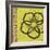 Key Lime Rosette I-Chariklia Zarris-Framed Art Print