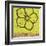 Key Lime Rosette IV-Chariklia Zarris-Framed Art Print