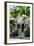 Key West Architecture - Heritage Structures in Old Town Key West - Florida-Philippe Hugonnard-Framed Photographic Print