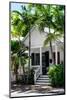 Key West Architecture - Heritage Structures in Old Town Key West - Florida-Philippe Hugonnard-Mounted Photographic Print