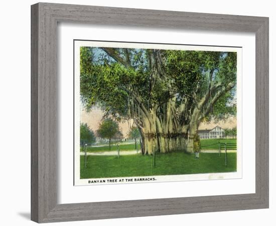 Key West, Florida - Barracks Banyan Tree Scene-Lantern Press-Framed Art Print