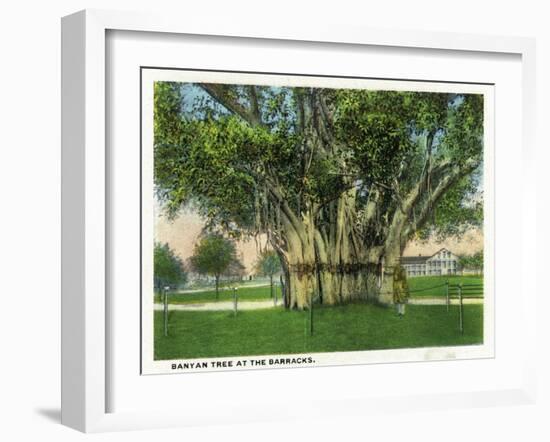 Key West, Florida - Barracks Banyan Tree Scene-Lantern Press-Framed Art Print