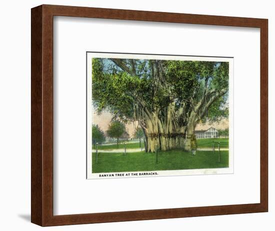 Key West, Florida - Barracks Banyan Tree Scene-Lantern Press-Framed Art Print