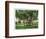 Key West, Florida - Barracks Banyan Tree Scene-Lantern Press-Framed Art Print