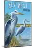 Key West, Florida - Blue Heron-Lantern Press-Mounted Art Print