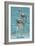 Key West, Florida - Dolphin Trio-Lantern Press-Framed Premium Giclee Print