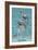 Key West, Florida - Dolphin Trio-Lantern Press-Framed Premium Giclee Print