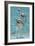 Key West, Florida - Dolphin Trio-Lantern Press-Framed Premium Giclee Print