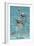 Key West, Florida - Dolphin Trio-Lantern Press-Framed Premium Giclee Print