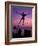 Key West, Florida Keys, Florida, USA-Greg Johnston-Framed Photographic Print