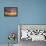Key West Hobie Sunset-Robert Goldwitz-Framed Premier Image Canvas displayed on a wall
