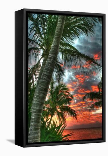 Key West Palm Sunrise Vertical-Robert Goldwitz-Framed Premier Image Canvas