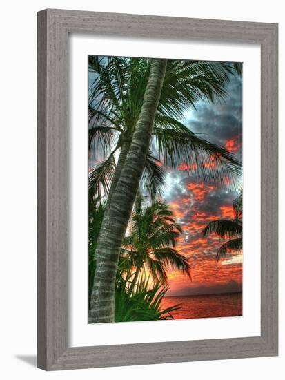 Key West Palm Sunrise Vertical-Robert Goldwitz-Framed Photographic Print