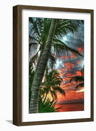 Key West Palm Sunrise Vertical-Robert Goldwitz-Framed Photographic Print