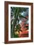 Key West Palm Sunrise Vertical-Robert Goldwitz-Framed Photographic Print