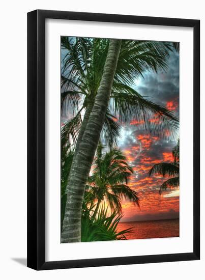 Key West Palm Sunrise Vertical-Robert Goldwitz-Framed Photographic Print