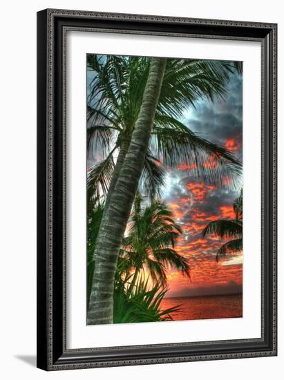Key West Palm Sunrise Vertical-Robert Goldwitz-Framed Photographic Print