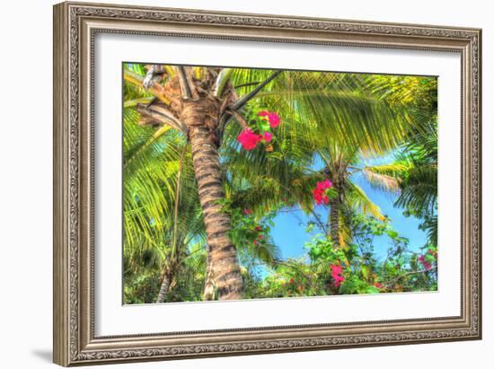 Key West Pink Flowers Palm-Robert Goldwitz-Framed Photographic Print