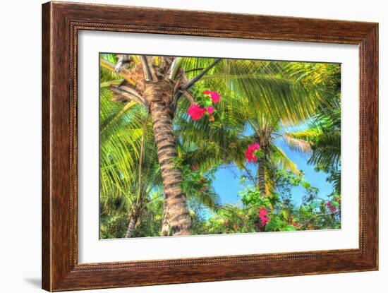 Key West Pink Flowers Palm-Robert Goldwitz-Framed Photographic Print