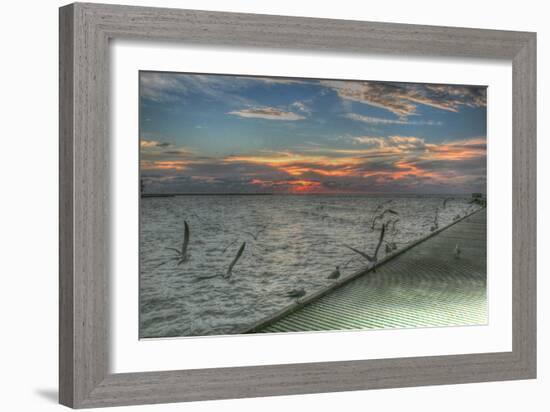Key West Sunrise Gulls and Pier-Robert Goldwitz-Framed Photographic Print