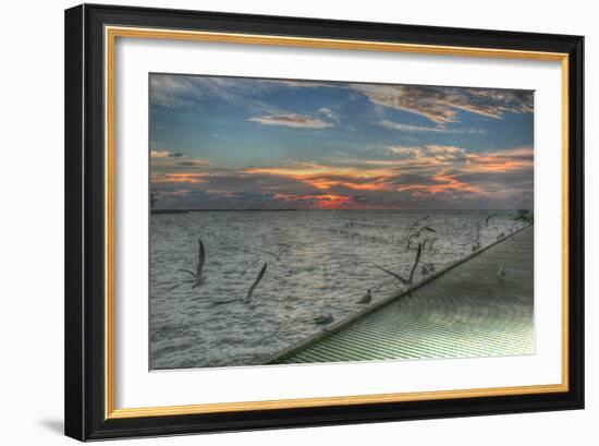 Key West Sunrise Gulls and Pier-Robert Goldwitz-Framed Photographic Print