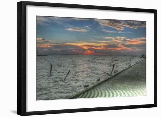 Key West Sunrise Gulls and Pier-Robert Goldwitz-Framed Photographic Print