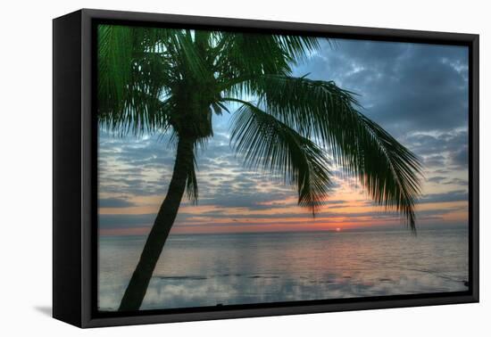 Key West Sunrise One Palm-Robert Goldwitz-Framed Premier Image Canvas