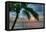 Key West Sunrise One Palm-Robert Goldwitz-Framed Premier Image Canvas