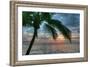 Key West Sunrise One Palm-Robert Goldwitz-Framed Photographic Print